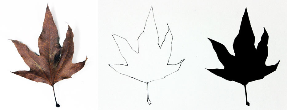 Define Contour Line Drawing : Contour line drawing